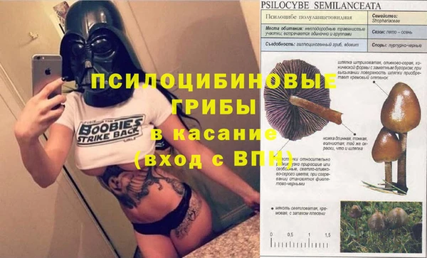 бутират Пролетарск
